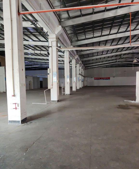 仲恺红旗原房东钢构3500带红本招租 实际面积 可分租