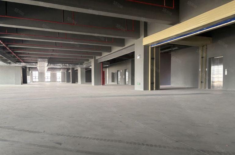 仲恺陈江A级形象厂房，原房东，1000平以上好分租，包隔墙