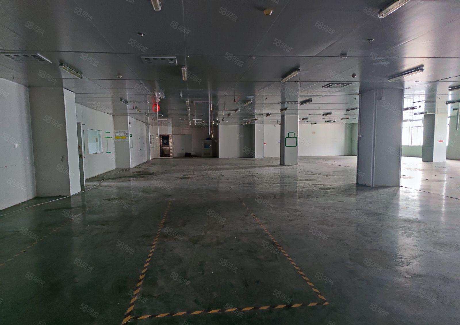 惠环镇标准9200平小独院厂房出租，空地大，有红本！价格便宜