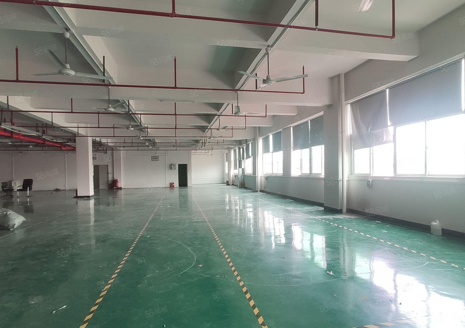 500平起仲恺陈江五一工业区原房东独院8000平厂房仓库出租