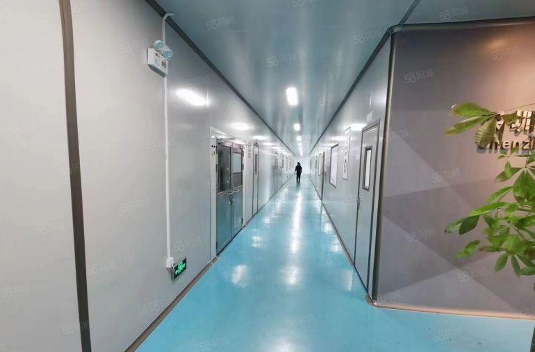 低价11块原房东5吨货梯500起租仲恺陈江精装修厂房仓库出租