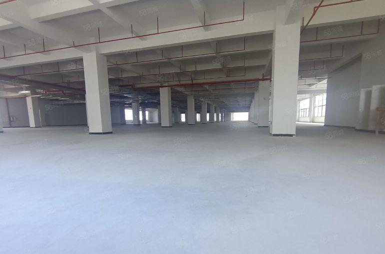 一楼厂房1000平方层高8米带牛角位可办环评与执照超低价出租