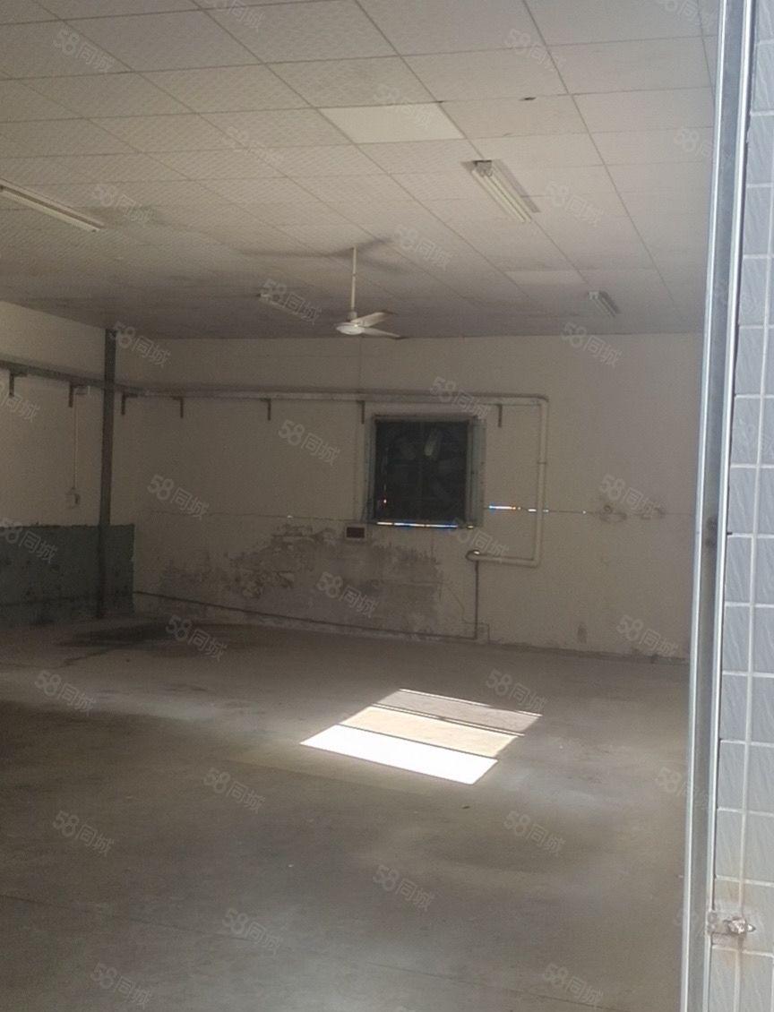 仲恺高新区惠环300平小厂房出租（原房东）