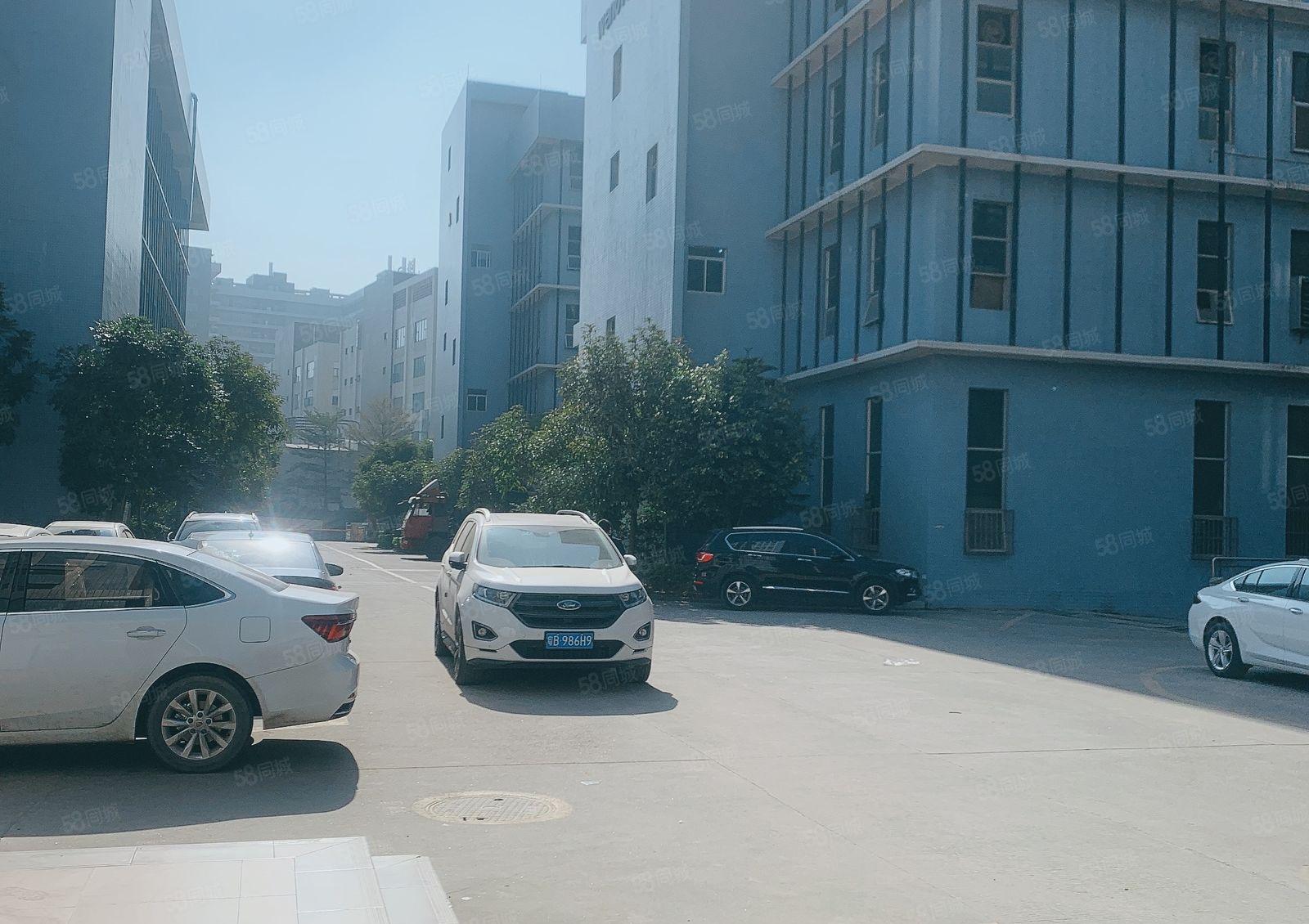 仲恺陈江原房东1000平精装修一楼高6米200仓库厂房出租