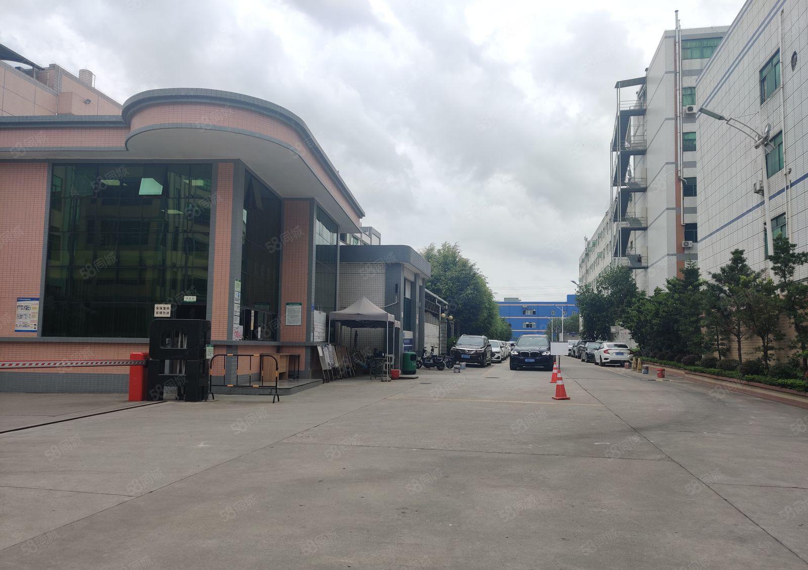 独门独院花园式原房东红本厂房15层可分租两部三吨货梯12元