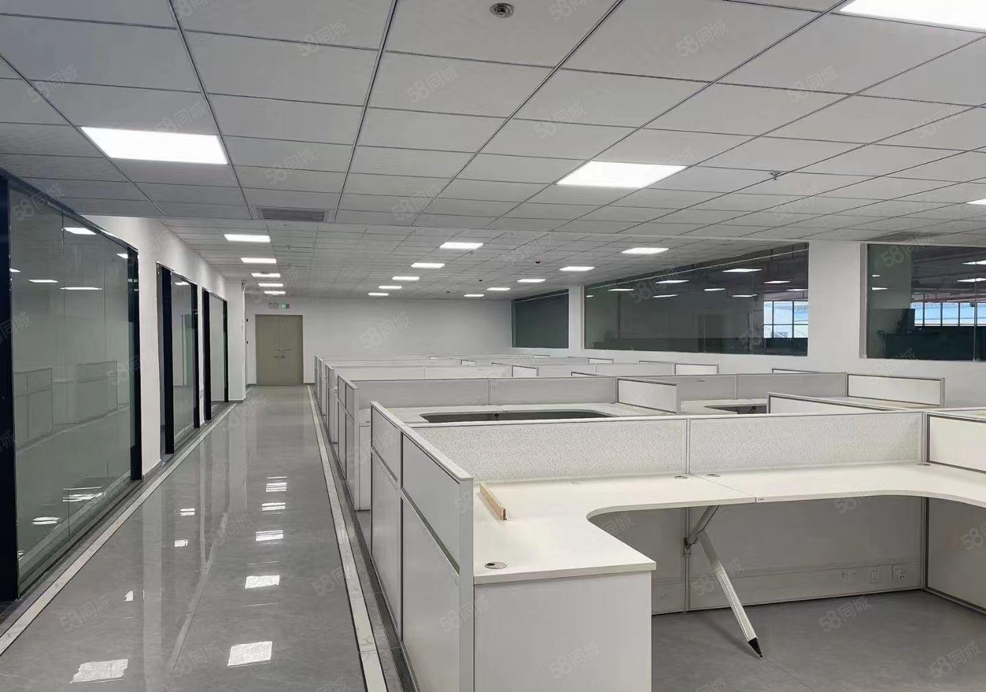 低价 原房东全新红本重工业精装修厂房3000平方出租