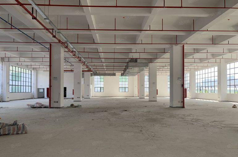 陈江原房东20000平米全新红本独院厂房出租可分租一楼8米