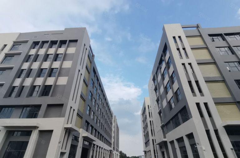 中心位置高速口200米，临深园区，可做污染行业，独门独院厂房