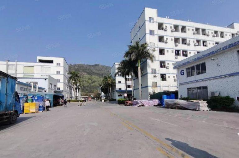 7块！沥林英光新出2000平带地坪带行车厂房仓库出租可分租