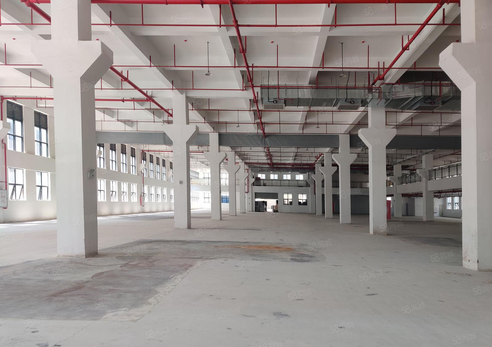 平南高速路口，仲恺高新区平南工业区一楼7米高500平方起分租