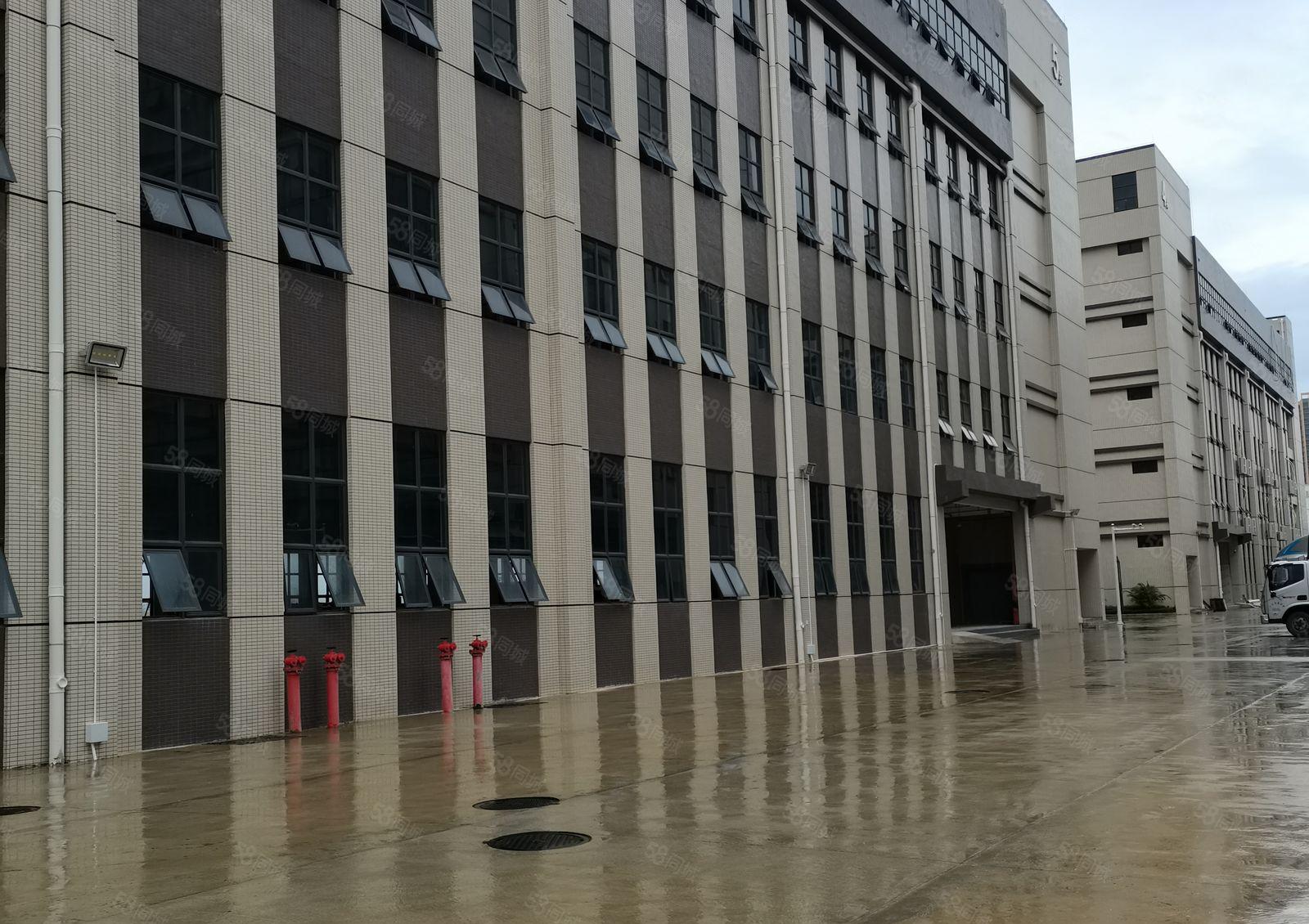 惠州仲恺高新区原房东全新厂房30000平米厂房出租可分租急租