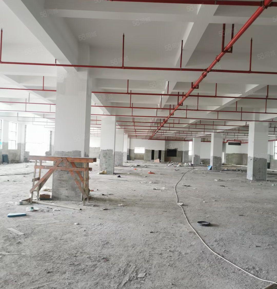 惠州仲深莞惠产业转移园，全新框架厂房，钢结构厂房