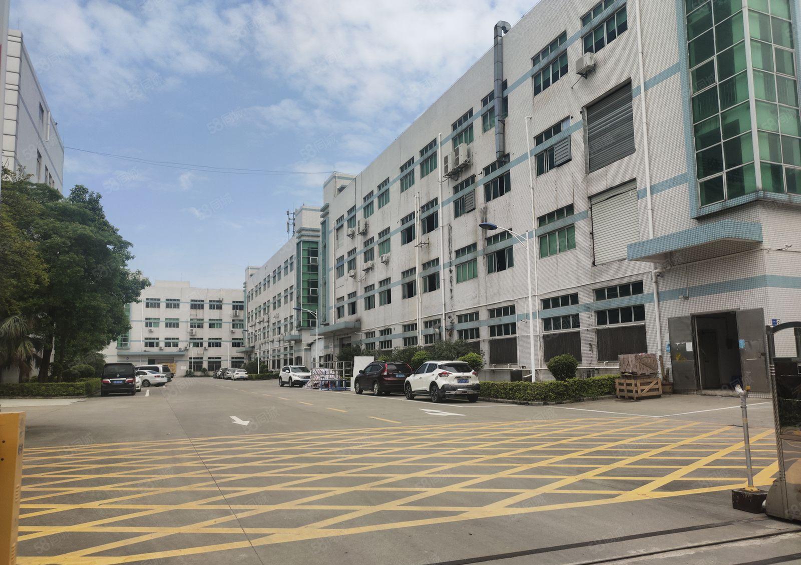 沥林新出楼上2000平方带豪华装修，可拎包入住！交通便利！！