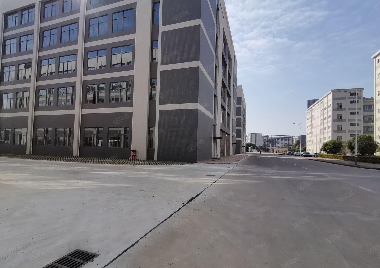 300平起租仲恺陈江原房东工业园独院厂房仓库出租