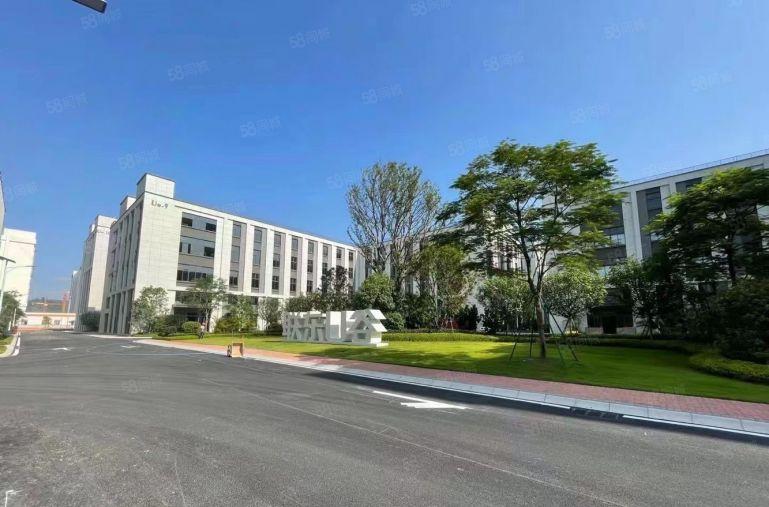 仲恺8元含税无公摊厂房开发商直租