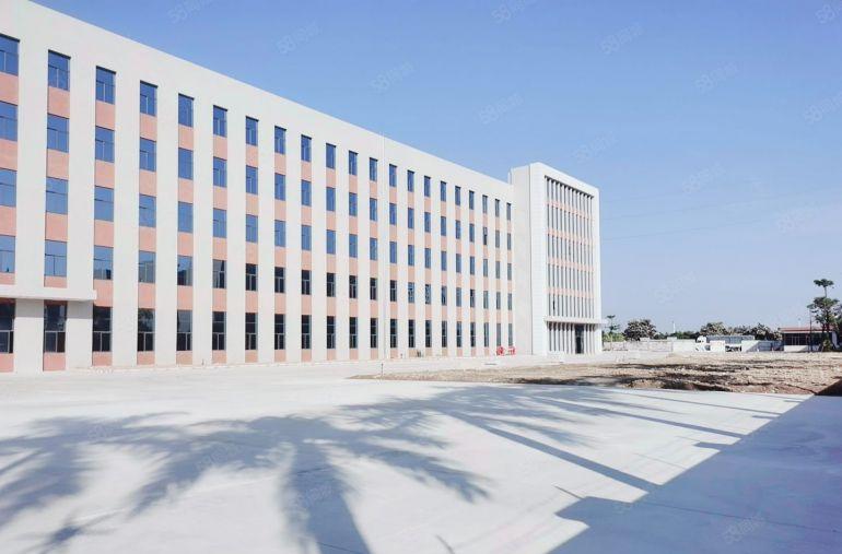 仲恺5块实际面积9000平出租一楼到三楼带牛角层高8米可分