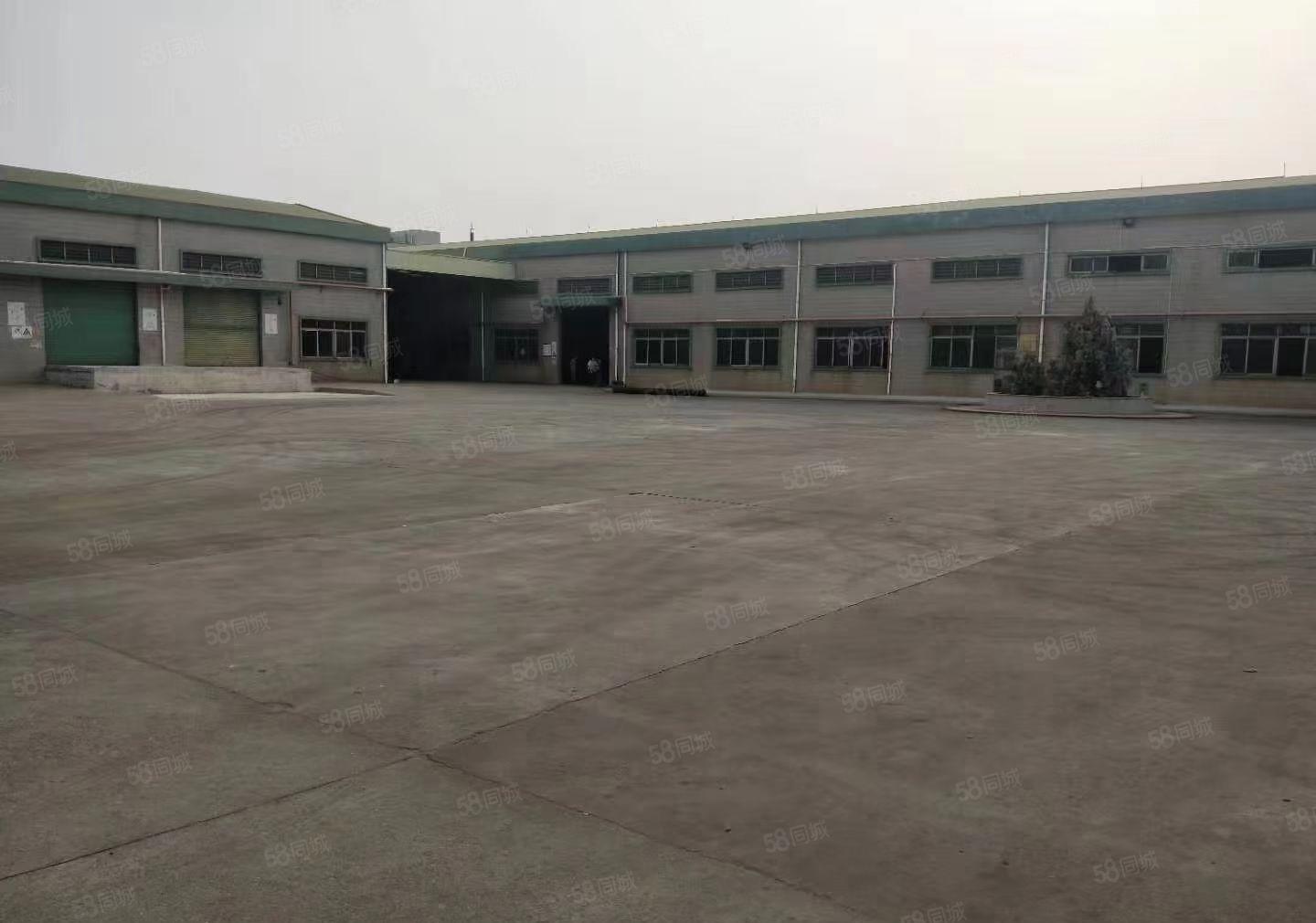 红本厂房仓库低价出租 滴水11米