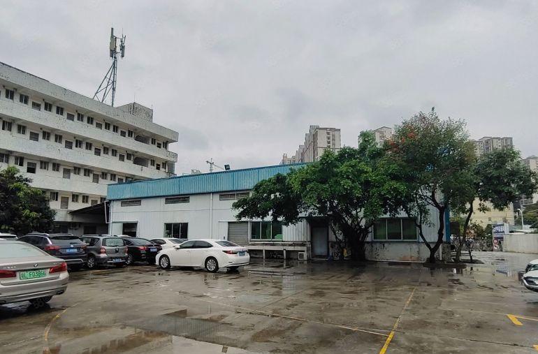 仲恺陈江450平方单一层厂房出租