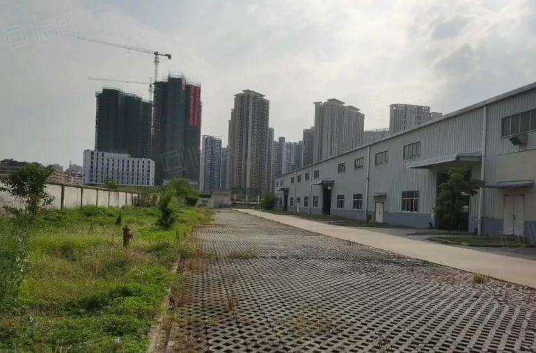 仲恺陈江钢结构厂房仓库5000平低价15块出租，滴水10米。