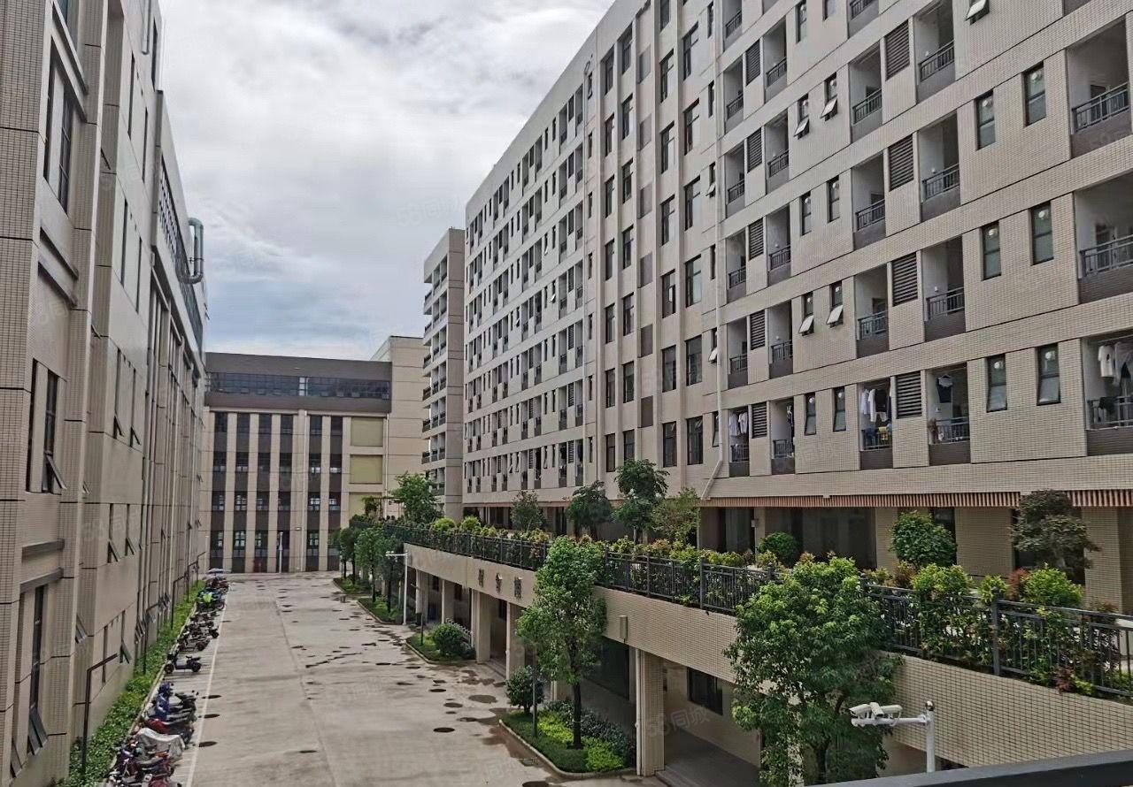 仲恺陈江镇东升村石泉岭路新出独门独院标准厂房，交通便利。