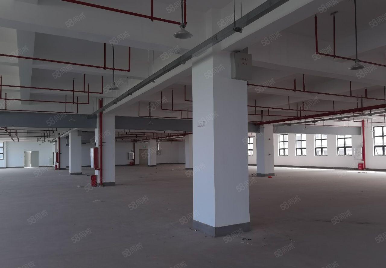 仲恺高新区陈江镇全新高大上标准厂房15000平出租可分租