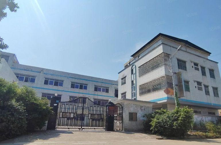 仲恺一手房东2500平方独院厂房，可分租可出售