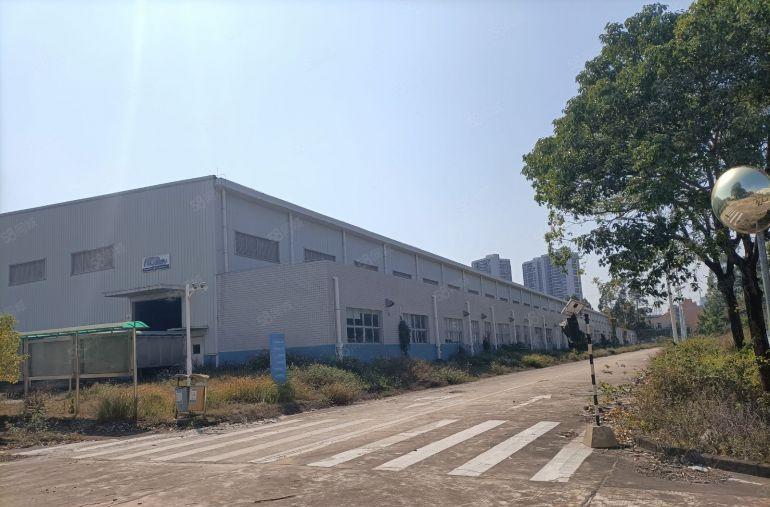 原房东20000平钢构厂房10米高可以分大量空地