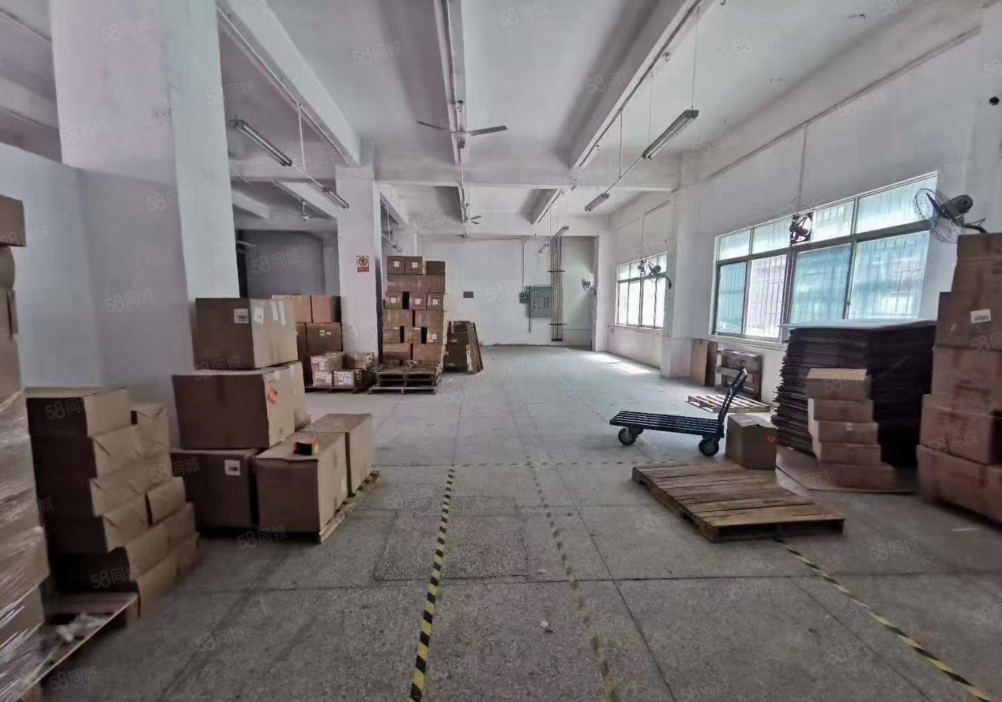 仲恺惠环平南工业区一楼300平600平出租