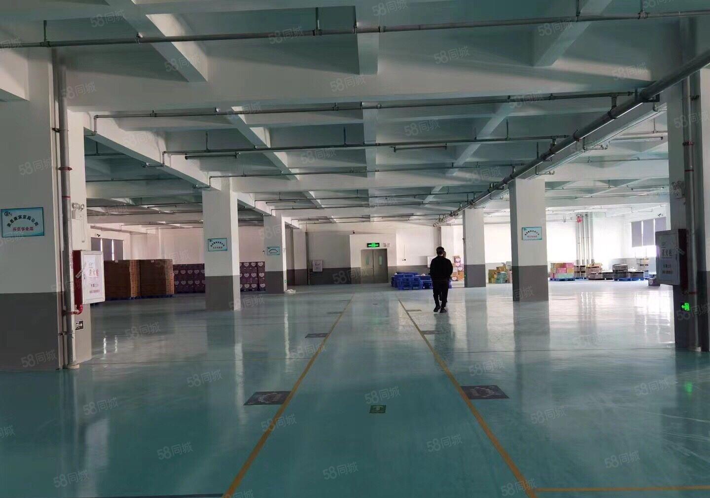 带精装修！仲恺惠环已隔好600平方和400平方车间水电齐全