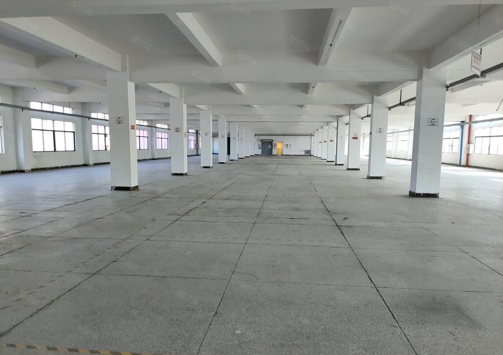 仲恺陈江五一工业区附近原房东1800平方楼上标准厂房出租可分