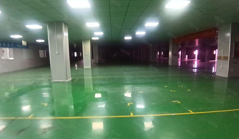 独门独院精装修带中央空调厂房出租 水电齐全可办证 可进拖头车