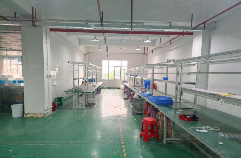 陈江创维附近原房东楼上带装修厂房直租