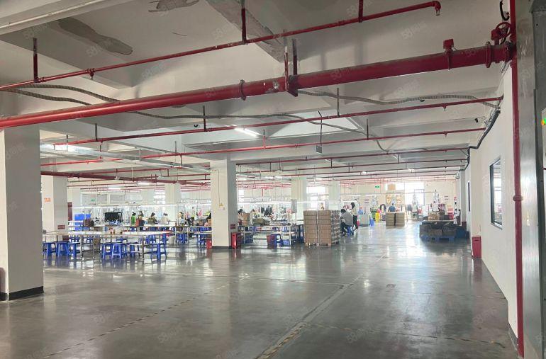 仲恺新出原房东2000平米厂房仓库年前低价出租免租期长带装修
