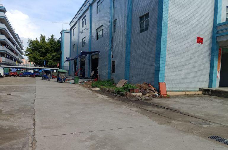 陈江镇原房东独院8000方厂房出租可分租有货梯带消防