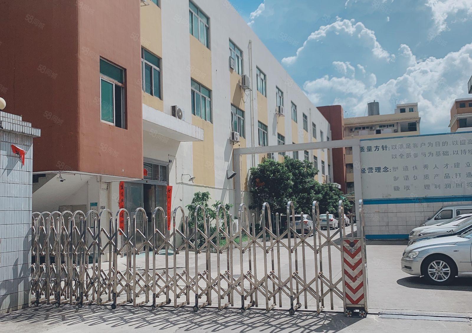 仲恺沥淋原房东1500一楼高6米1000仓库厂房出租200起