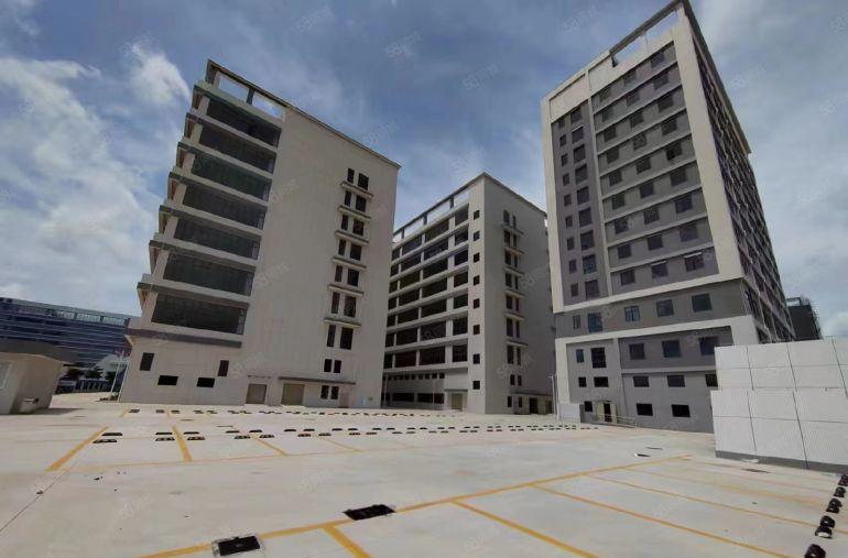 低价仲恺陈江全新80000平方红本厂房出租大小分租行业不限