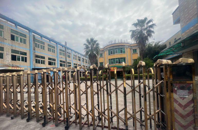 村委直租独门独院标准厂房有独立办公楼