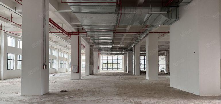 8块实际面积出租500平起分租仲恺陈江220000平厂房出租