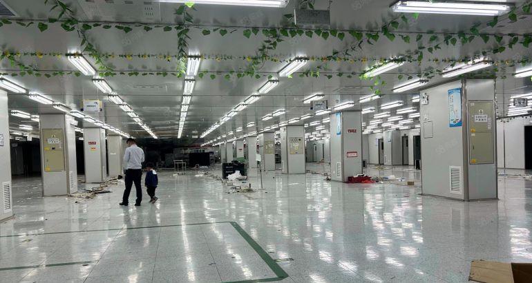 陈江独门独院！中心地段标准钢结构红本厂房31888平出租