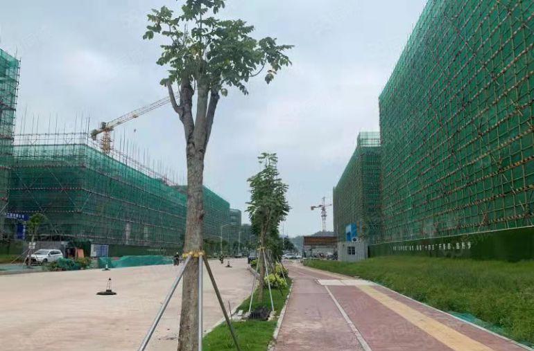 （仲恺全新厂房出租）潼湖中韩（惠州）产业园起步区全新厂房出租