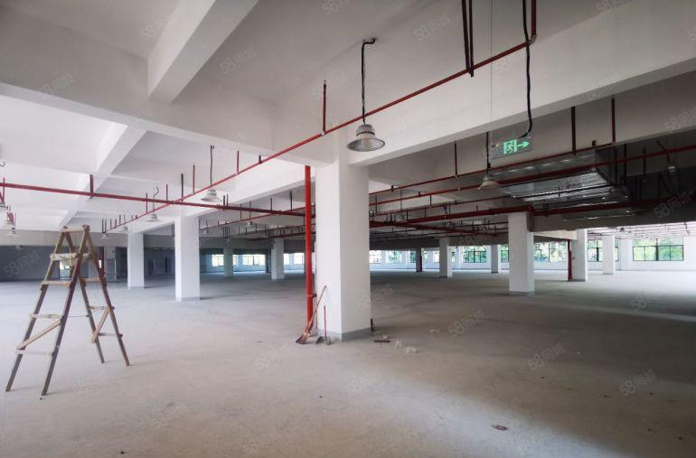 仲恺高新区原房东（独门独院）红本厂房14800宿舍2630平