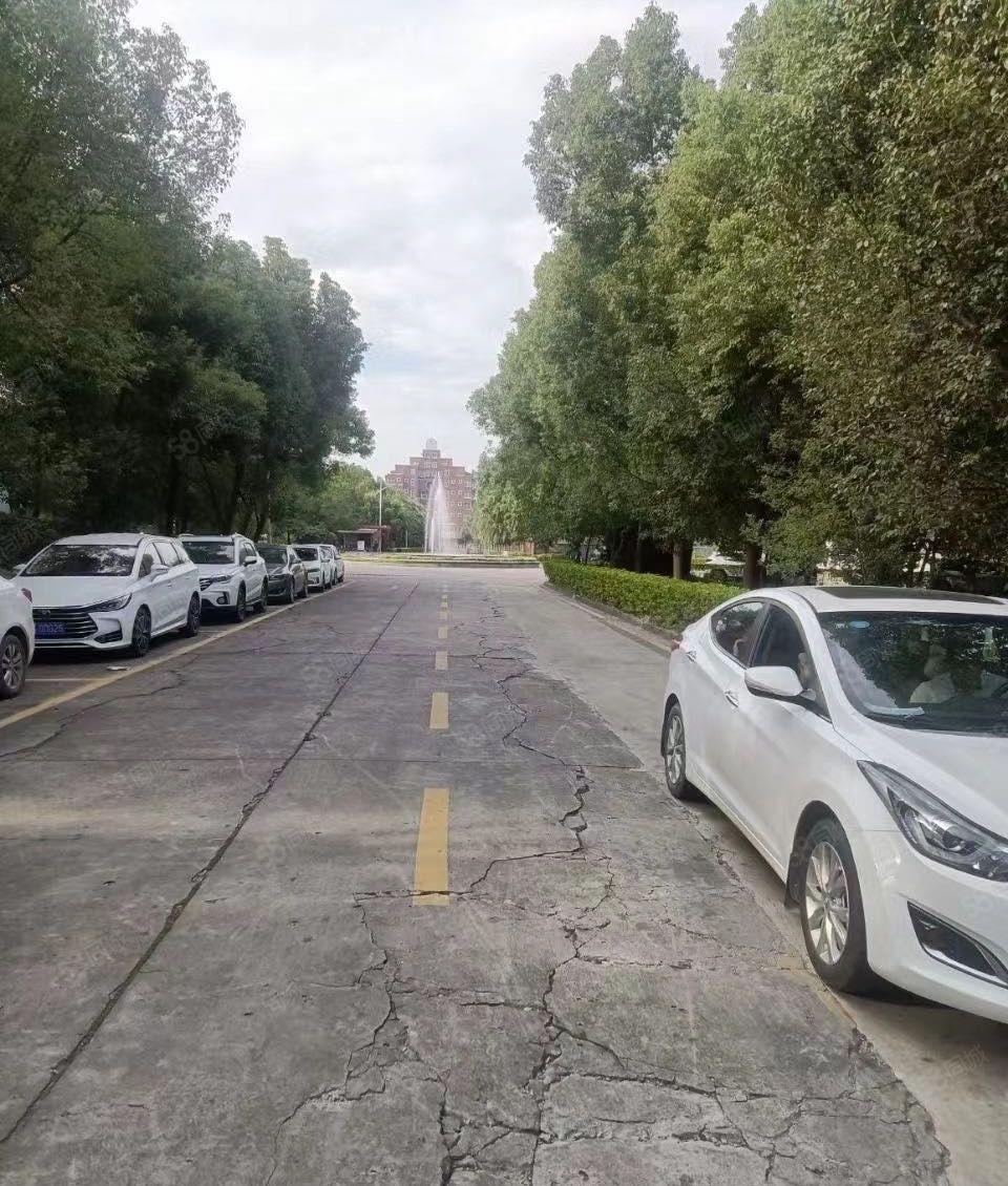 惠州陈江单层钢构厂房