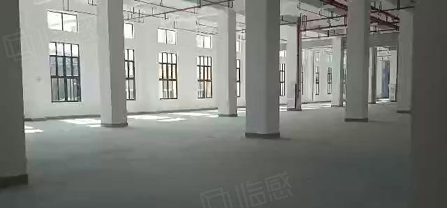 赠！免租期陈江区8000平可分租 生物医药产业园厂房仓库出租