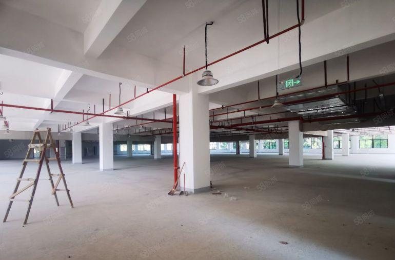 仲恺高新区原房东（独门独院）红本厂房14800宿舍2630平