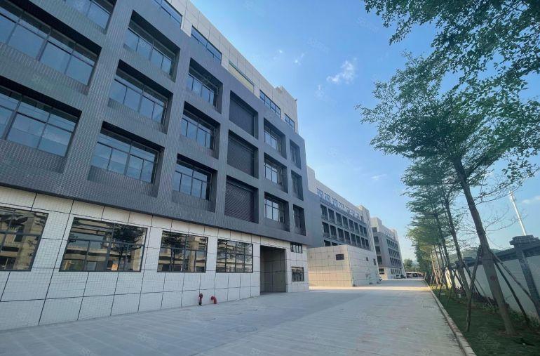 仲恺特价8元独门独院3000全新厂房出租带装修实际面积