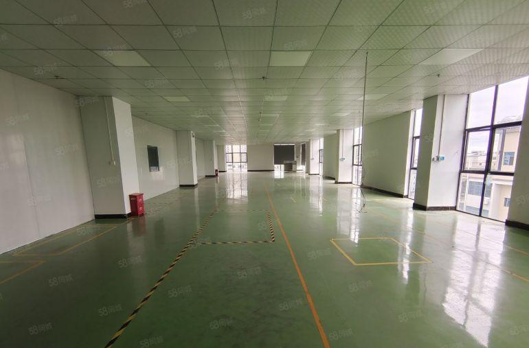 9元 仲恺沥林全新装修厂房楼上2500平 水电齐全