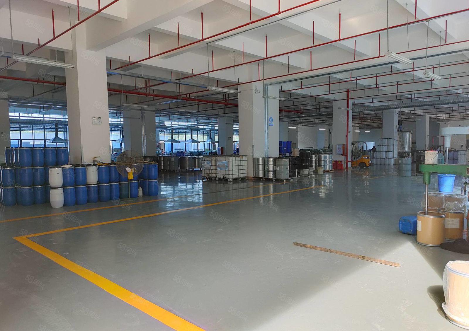 仲恺陈江镇大型工业园13层7500平方带红本标准厂房出租。