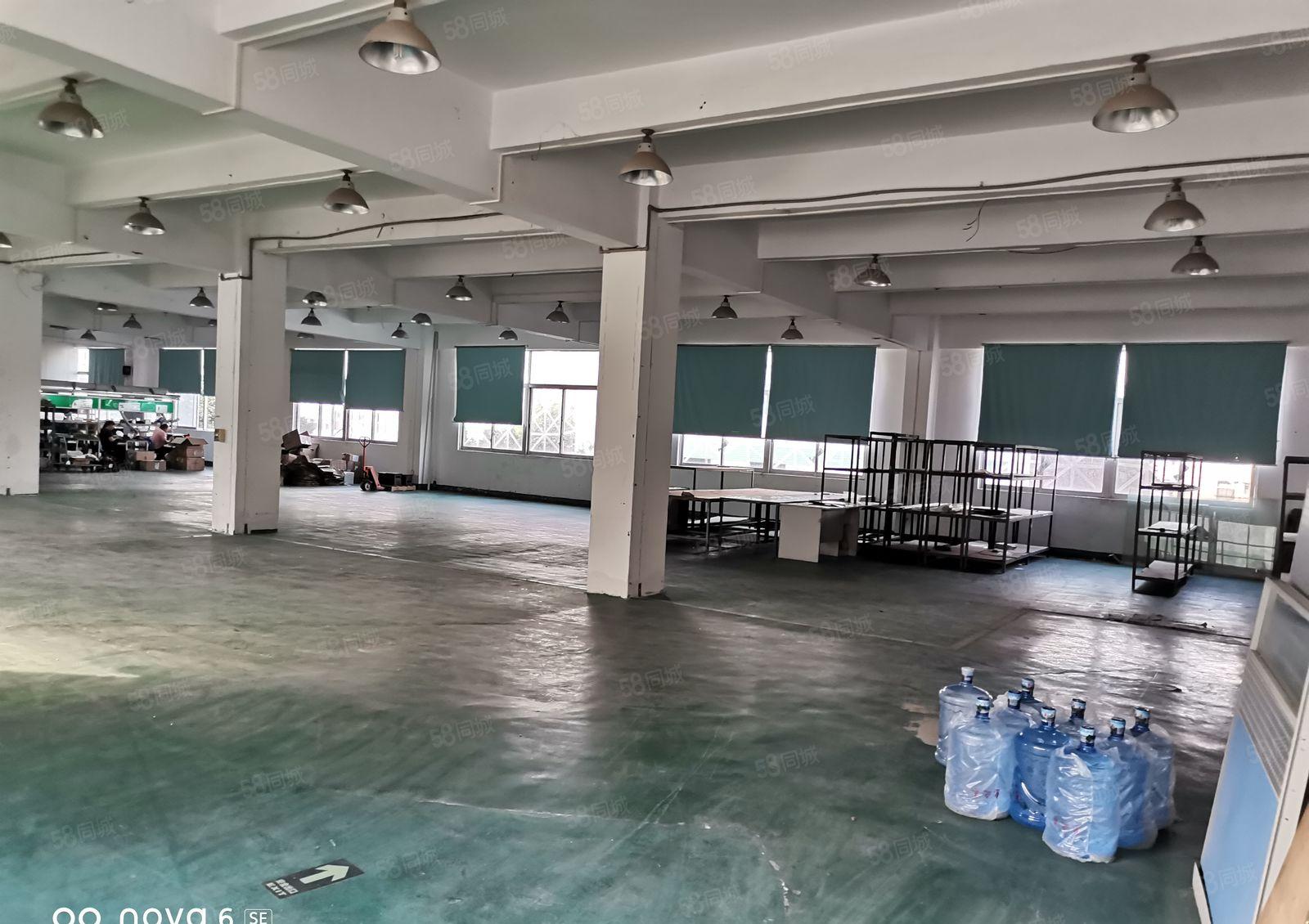 仲恺惠环600带现成水电，现成装修的标准厂房出租