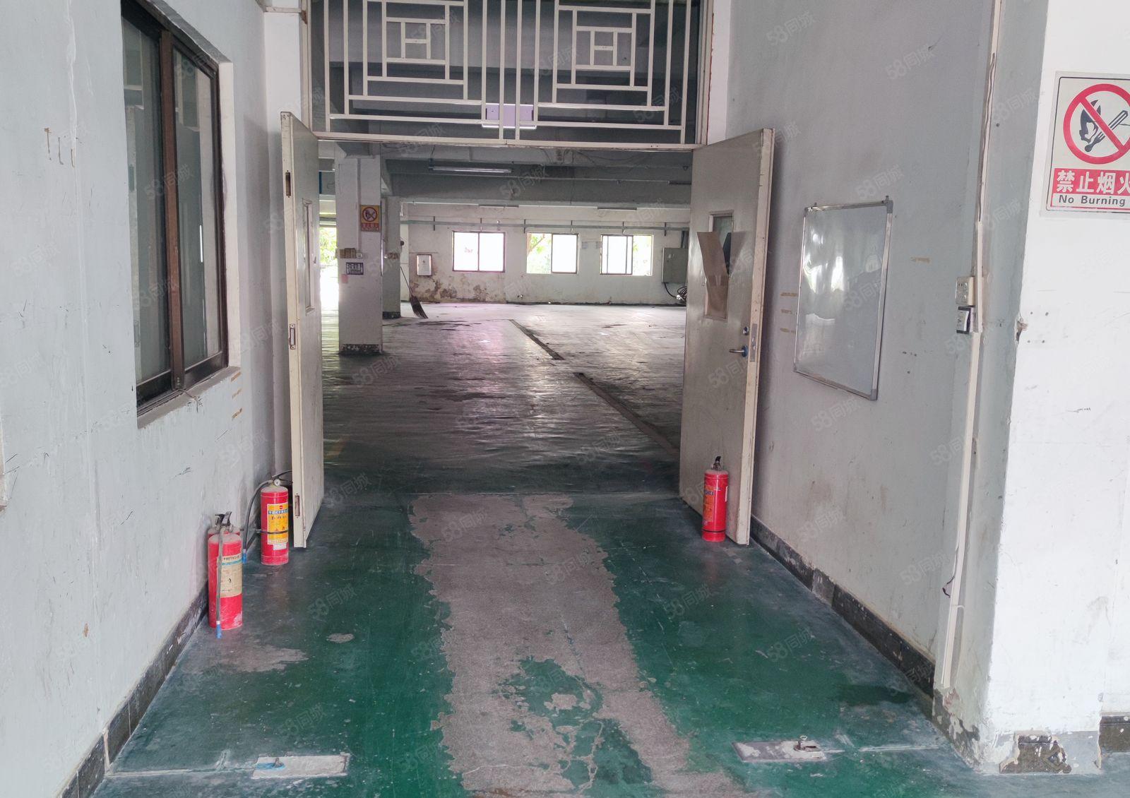 潼侨新建红本厂房出租，配套设施完善！主路边，交通便利