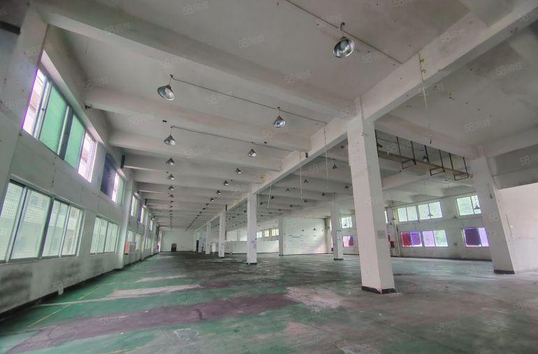 一手房东出租8000平独门独院三层厂房